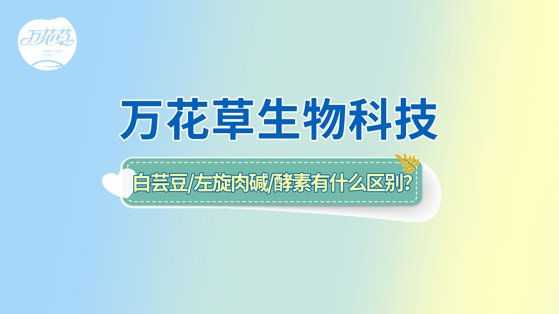 白蕓豆、左旋肉堿、嗨吃酵素有什么區(qū)別？